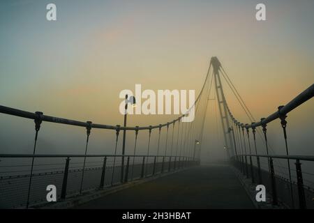 Der Herrenkrugsteg, eine Hängebrücke über die Elbe auf dem Elbradweg bei Magdeburg im Nebel Stockfoto