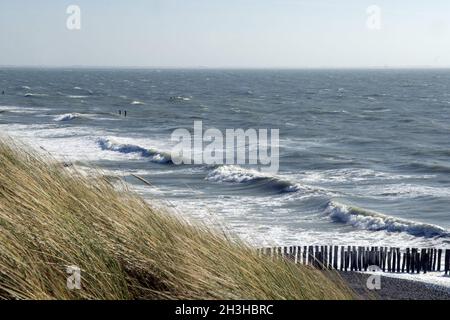 Kueste, Westkapelle Stockfoto