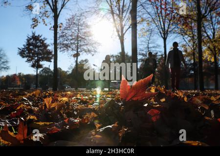 Berlin, Deutschland. Oktober 2021. Die Menschen genießen die Herbstlandschaft in Berlin, der Hauptstadt Deutschlands, 28. Oktober 2021. Kredit: Shan Yuqi/Xinhua/Alamy Live Nachrichten Stockfoto