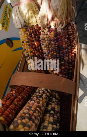 Eine Fülle an frischen, lokal angebauten Produkten, die von Bauern auf dem Union Square Market in New York City angeboten werden. Stockfoto