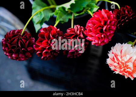 Blumen der Saison im Spätsommer, die von Bauern auf dem Union Square Green Market in New York City verkauft werden. Stockfoto