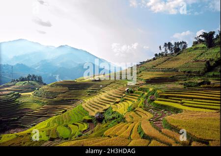 Schöner Morgen auf den Reisterrassen in Mu Cang Chai, Yen Bai, Vietnam Stockfoto