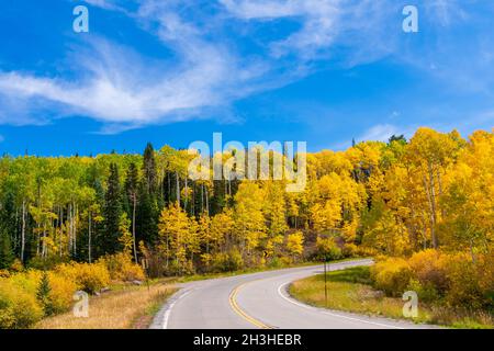 Herbstfarben unter blauem Himmel auf dem State Highway 65, Grand Mesa Scenic Byway in Colorado Stockfoto