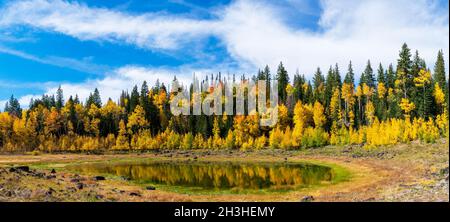 Panoramablick auf einen kleinen, trocknenden See, umgeben von Herbstfarben unter einem wunderschönen blauen Himmel in Grand Mesa, Colorado Stockfoto