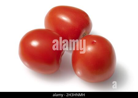 Roma-Tomaten, Romatomaten, Lycopersicon Esculentum; Stockfoto