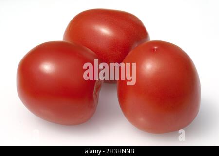 Roma-Tomaten, Romatomaten, Lycopersicon Esculentum; Stockfoto