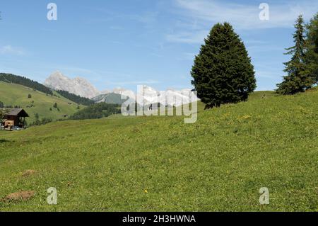 Seiser Alm, Seiser Alm, Dolomiten, UNESCO Weltnaturerbe, Dolomiten, Stockfoto