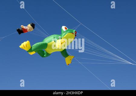 Drachen, große Drachen, Winddrachen, fliegende Drachen, Stockfoto