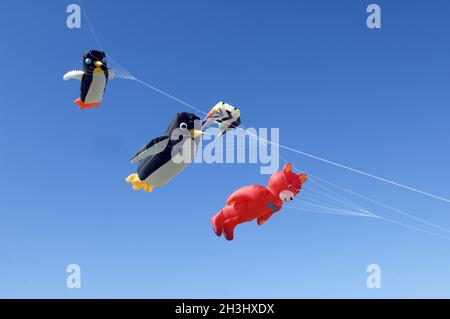 Drachen, große Drachen, Winddrachen, fliegende Drachen, Stockfoto