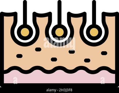 Symbol für geschnittene Hauthaare. Kontur geschnitten Haut Haar Vektor Symbol Farbe flach isoliert Stock Vektor