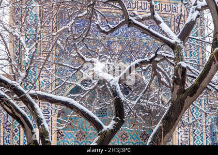 Schnee ruht auf Bäumen an der Bibi-Khanum-Moschee, dem Registan-Platz, Samarkand, Usbekistan Stockfoto