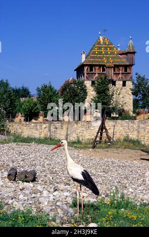 FRANKREICH,ELSASS,HAUT-RHIN (68),UNGERSHEIM,ECOMUSEUM Stockfoto