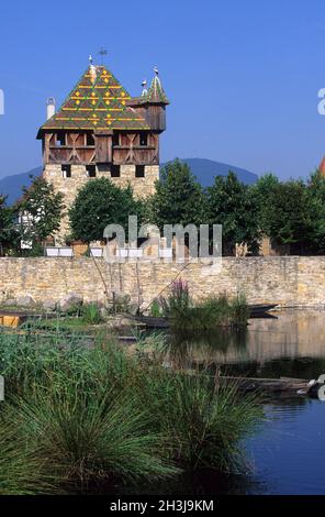 FRANKREICH,ELSASS,HAUT-RHIN (68),UNGERSHEIM,ECOMUSEUM Stockfoto