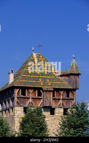 FRANKREICH,ELSASS,HAUT-RHIN (68),UNGERSHEIM,ECOMUSEUM Stockfoto