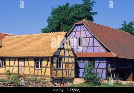 FRANKREICH,ELSASS,HAUT-RHIN (68),UNGERSHEIM,ECOMUSEUM Stockfoto