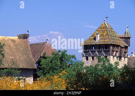 FRANKREICH,ELSASS,HAUT-RHIN (68),UNGERSHEIM,ECOMUSEUM Stockfoto