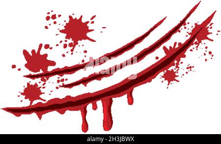 Blutklaue Kratzer Wunden auf weißem Hintergrund Illustration Stock Vektor