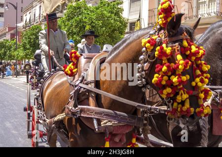 MALAGA, Spanien - 14 AUGUST: Reiter und Kutschen auf Malaga August Messe am 14. August 2009 in Malaga, Spanien Stockfoto