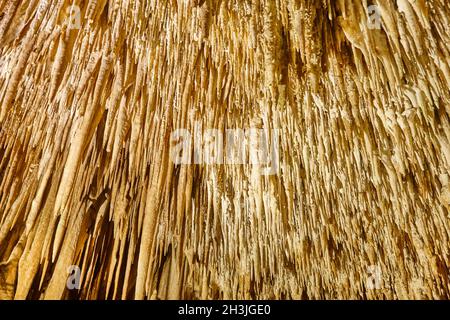 Stalaktiten in einer Dachhöhle. Cuevas del Drach. Mallorca, Spanien Stockfoto