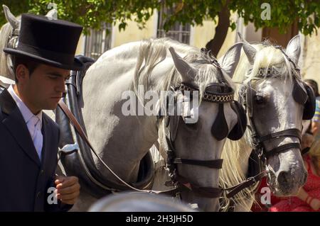 MALAGA, Spanien - 14 AUGUST: Reiter und Kutschen auf Malaga August Messe am 14. August 2009 in Malaga, Spanien Stockfoto