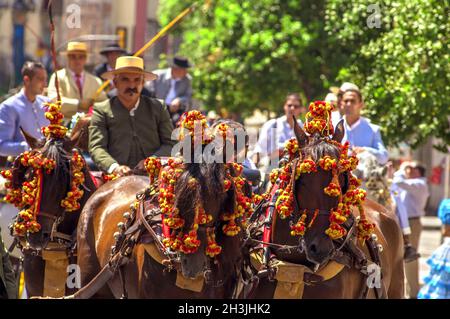 MALAGA, Spanien - 14 AUGUST: Reiter und Kutschen auf Malaga August Messe am 14. August 2009 in Malaga, Spanien Stockfoto