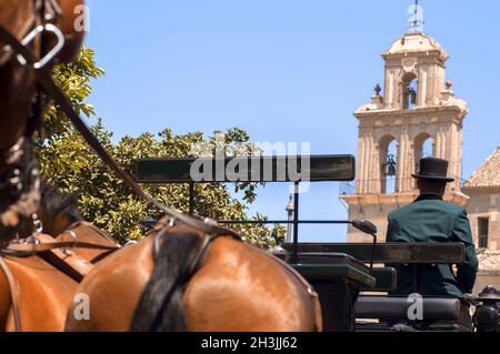 MALAGA, Spanien - 14 AUGUST: Reiter und Kutschen auf Malaga August Messe am 14. August 2009 in Malaga, Spanien Stockfoto