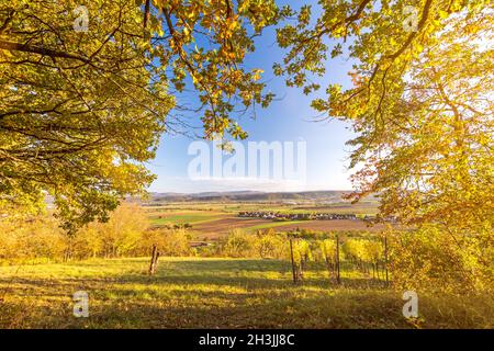 Blick durch herbstliche Baumzweige auf das malerische Tal und die Weinberge bei Sonnenuntergang in Süddeutschland Stockfoto