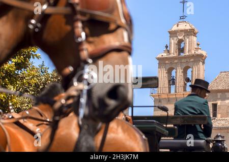 MALAGA, Spanien - 14 AUGUST: Reiter und Kutschen auf Malaga August Messe am 14. August 2009 in Malaga, Spanien Stockfoto