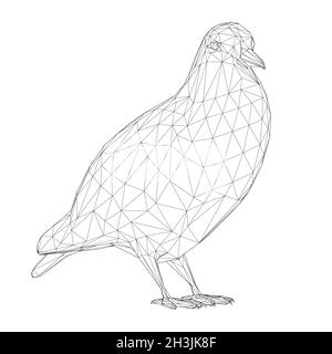 Taubenwireframe aus schwarzen Linien isoliert auf weißem Hintergrund. 3D. Vektorgrafik Stock Vektor