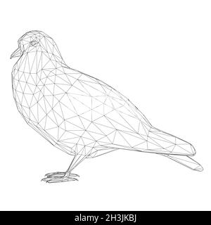 Taubenwireframe aus schwarzen Linien isoliert auf weißem Hintergrund. 3D. Vektorgrafik Stock Vektor