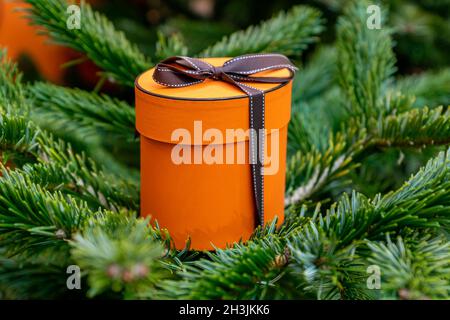 Weihnachten und Neujahr Hintergrund. Weihnachtsbaum mit orangefarbener runder geschenkbox, originelle Geschenkpräsentation oder Winterferien. Stockfoto