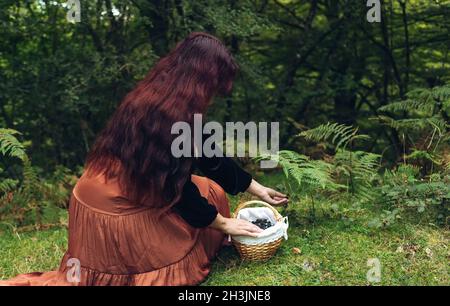 Schöne junge Frau mit langen Haaren, die sich nach unten beugen und Brombeeren aus einem Brombeerbusch im Wald für ihren Korbkorb pflücken. Stockfoto