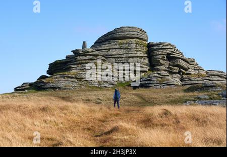 Walker nähert sich dem Great Links Tor mit seinem prominenten Trig Point am Western Dartmoor in Devon UK Stockfoto