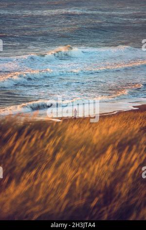 Frau, die in der Abendsonne am Strand steht. Stockfoto