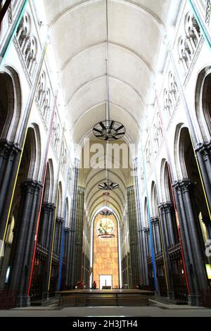 FRANCE NORD (59) KATHEDRALE NOTRE DAME TREILLE IN LILLE Stockfoto