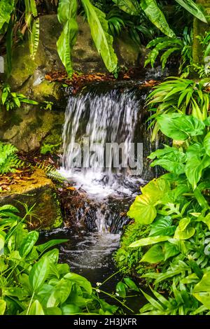 Wunderschöner Wasserfall in natürlicher Umgebung. Stockfoto