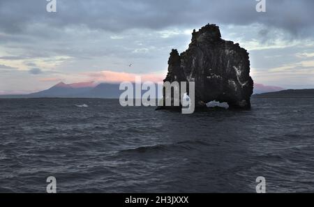 Trinken Drachen, ausgesetzt Rock in Island, Küste des Atlantischen Ozeans. Stockfoto