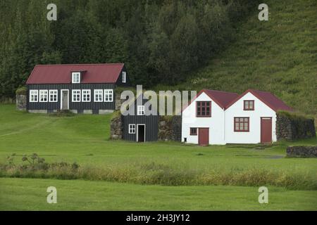 Traditioneller isländischer Häuser mit grünen Dächern. Stockfoto