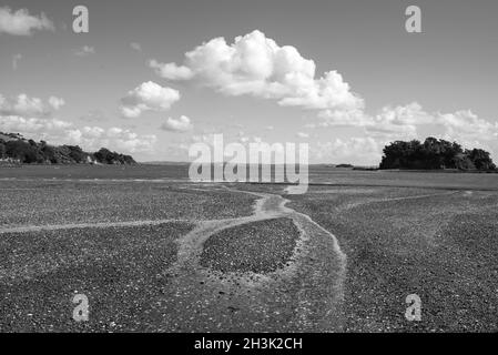 Waiheke Island, Aotearoa, Neuseeland. Wolkenformationen über dem Strand bei Ebbe Stockfoto