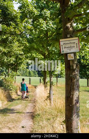 Schilder für Wanderwege im Harz Stockfoto