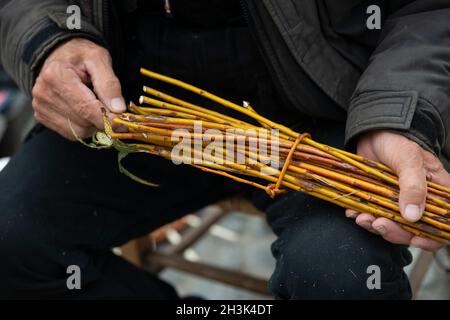 Italien , Lombardei, Handwerker, der einen Weidenkorb macht Stockfoto