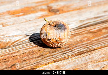 Fauler Apfel liegt aus nächster Nähe auf einem Holztisch Stockfoto