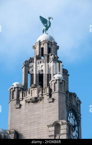 In ganz Großbritannien - Ein Tag in Liverpool - Liver Birds auf dem Port of Liverpool Building Stockfoto