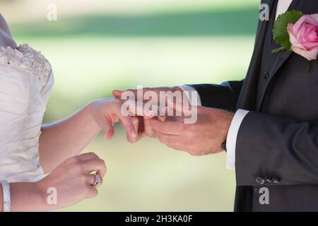 Austausch der Eheringe Stockfoto