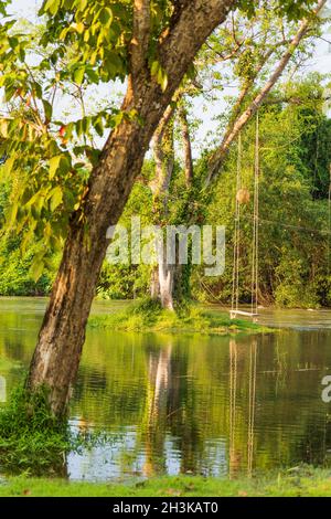 Seilschaukel hängend von einem Baum über einem fließenden Fluss in einer Naturparkumgebung in Thailand mit üppigem grünem Laub und morgendlichen Herbstblättern. Stockfoto