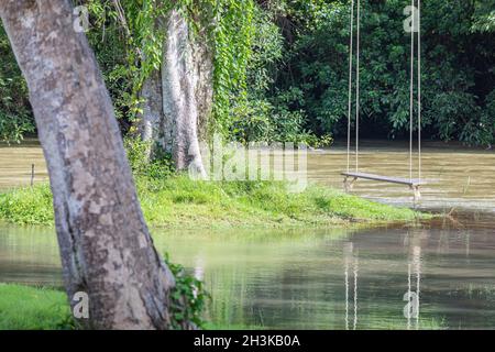 Seilschaukel hängend von einem Baum über einem fließenden Fluss in einer Naturparkumgebung in Thailand mit üppigem grünem Laub und morgendlichen Herbstblättern. Stockfoto