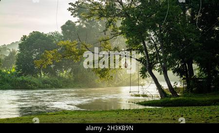 Seilschaukel hängend von einem Baum über einem fließenden Fluss in einer Naturparkumgebung in Thailand mit üppigem grünem Laub und morgendlichen Herbstblättern. Stockfoto