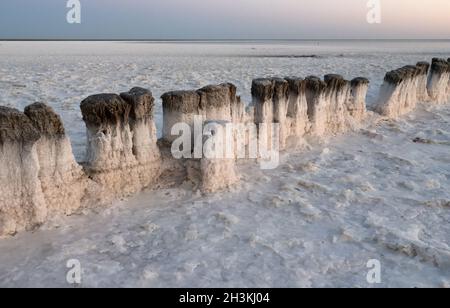 Holz- stümpfe. Der Punkt von Salz Kristallisation im Salt Lake Baskunchak, Russland. Stockfoto