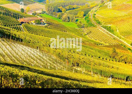 Die Weinberglandschaft rund um die Stadt Barbaresco, Region Piemont, Italien. Barbaresco ist ein italienischer Wein, der mit der Nebbiolo-Traube hergestellt wird, wird als eingestuft Stockfoto