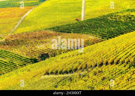 Die Weinberglandschaft rund um die Stadt Barbaresco, Region Piemont, Italien. Barbaresco ist ein italienischer Wein, der mit der Nebbiolo-Traube hergestellt wird, wird als eingestuft Stockfoto